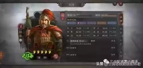 华佗最强搭配什么阵容好插图