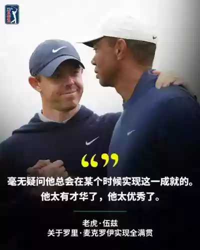 老虎阵容搭配最新插图2