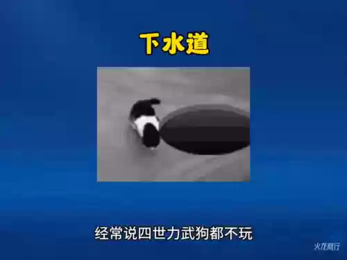 力武阵容搭配插图