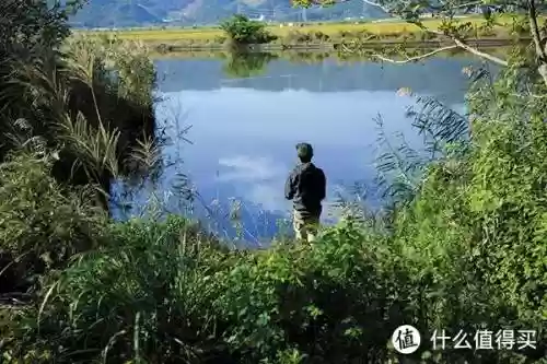 大师阵容装备搭配插图1