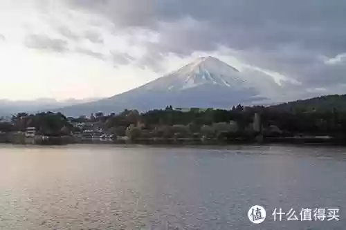 大师阵容装备搭配插图4