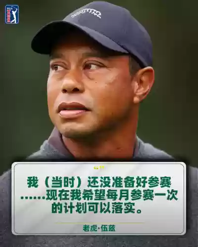老虎阵容搭配最新插图