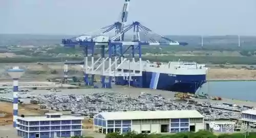 巨型乌鸦阵容怎么搭配(巨型乌鸦)插图4