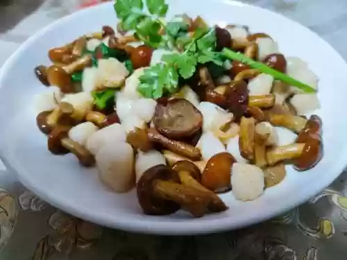 小雪阵容搭配平民(放置奇兵平民最佳搭配)插图1