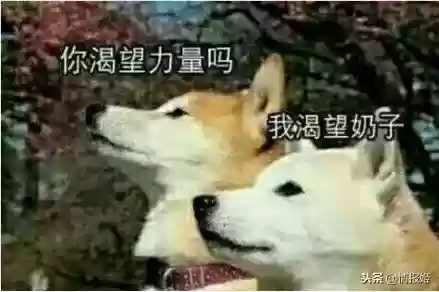 后宫之主柴刀阵容搭配(食之契约推荐阵容)插图1