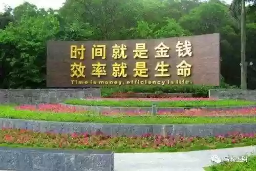 巨型乌鸦阵容怎么搭配(巨型乌鸦)插图12