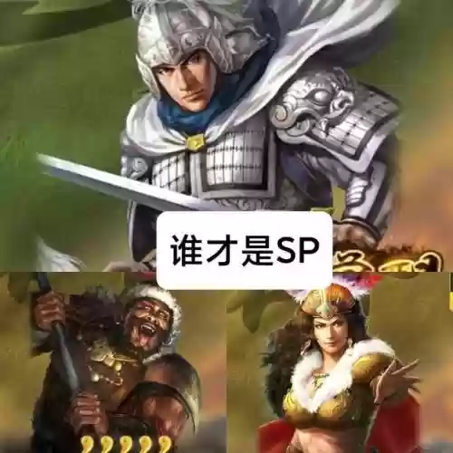 孟获祝融赵云阵容搭配(赵云适合什么阵容)插图1