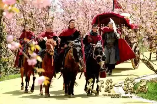 天下镖局阵容搭配推荐(天刀伙伴阵容选择)插图1