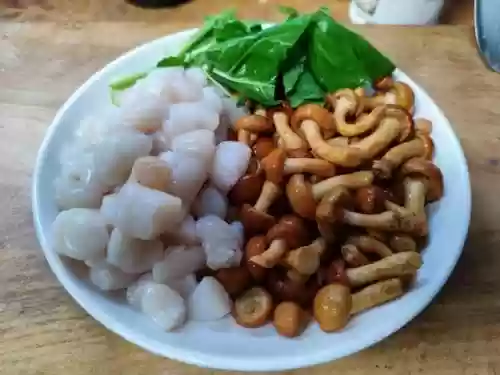 小雪阵容搭配平民(放置奇兵平民最佳搭配)插图2