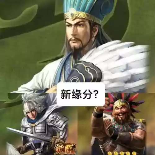 孟获祝融赵云阵容搭配(赵云适合什么阵容)插图3