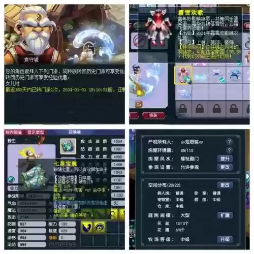 梦幻低端竞速阵容搭配(梦幻西游最强伙伴阵容)插图3