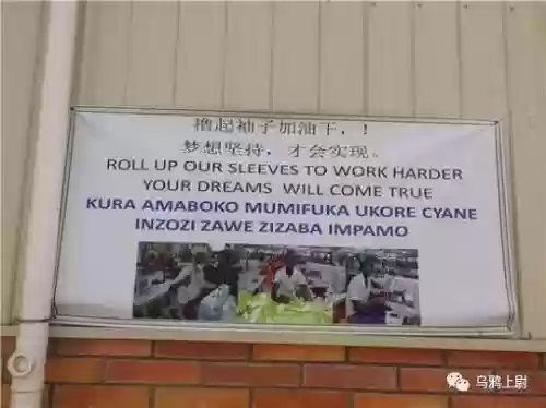 巨型乌鸦阵容怎么搭配(巨型乌鸦)插图19