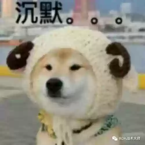 关羽常见搭配阵容有哪些(三国志战略版关羽阵容搭配)插图47
