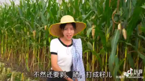 神仙歌曲阵容搭配图片大全(原神卡牌阵容推荐)插图36