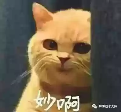 关羽常见搭配阵容有哪些(三国志战略版关羽阵容搭配)插图22