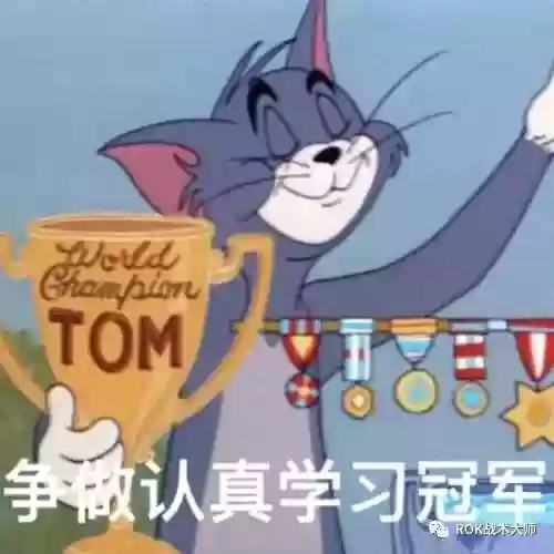 关羽常见搭配阵容有哪些(三国志战略版关羽阵容搭配)插图71