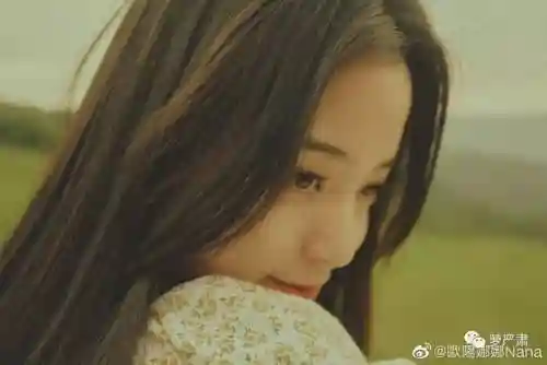 神仙歌曲阵容搭配图片大全(原神卡牌阵容推荐)插图15