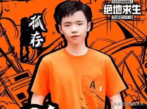 小鹿队友搭配阵容图片大全(木鹿大王最强阵容)插图1