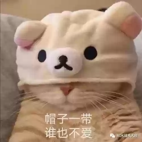 关羽常见搭配阵容有哪些(三国志战略版关羽阵容搭配)插图60