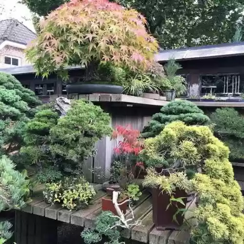 梦幻庭园搭配阵容图片高清(绯色梦境最强阵容推荐)插图24