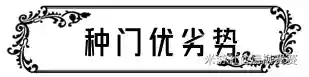 雷泽科莱阵容搭配(新手雷泽主c阵容推荐)插图19