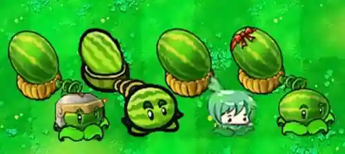 无加农炮阵容(植物大战僵尸无炮流最佳阵型)插图3