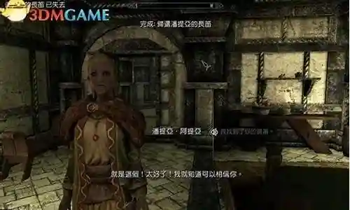 上古卷轴吟游诗人攻略