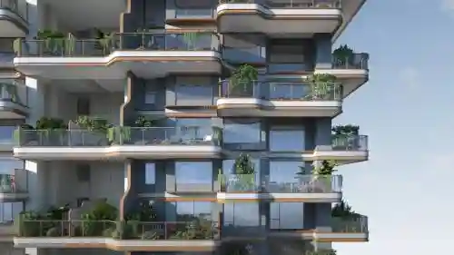 阵容高端住宅插图