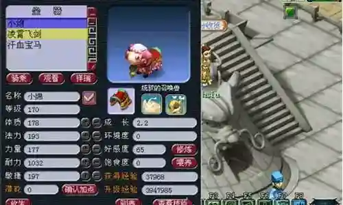 梦幻西游全血坐骑