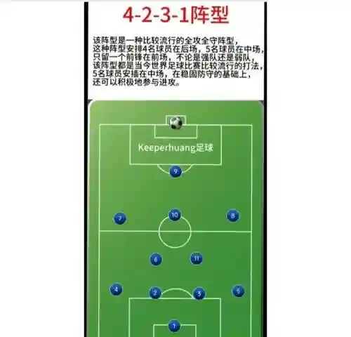 423阵容插图