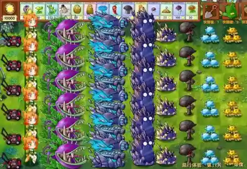 pvz草地阵容
