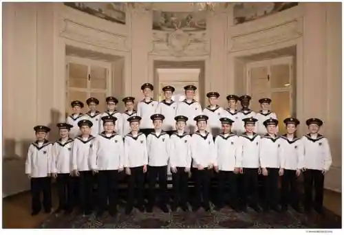维也纳集团阵容插图