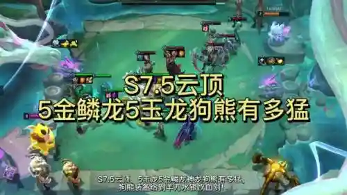狗熊阵容云顶
