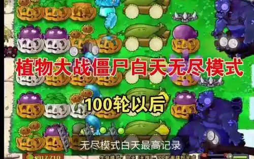 生存白天阵容插图1