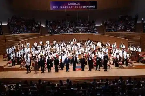 音乐现场阵容