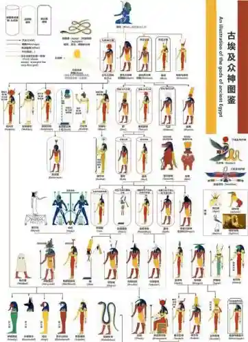 埃及阵容实力