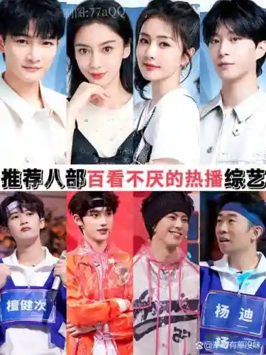 综艺阵容搭配_2插图1