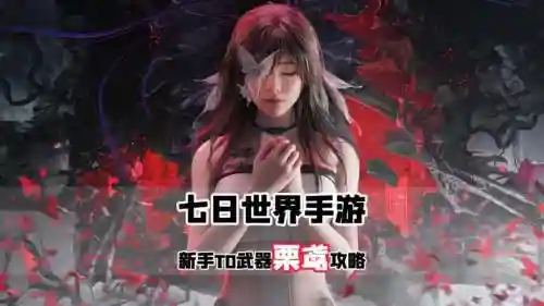 刀剑传说手游视频攻略视频攻略