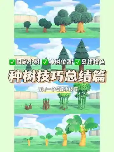 种树游戏攻略_1