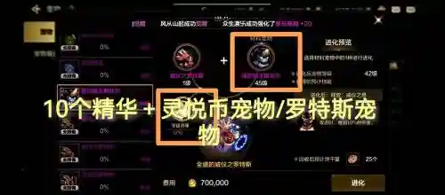 今年宠物装备换哪个牌子好插图