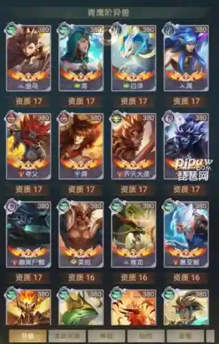 四神兽阵容搭配