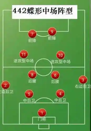 踢球阵容安排_1插图1