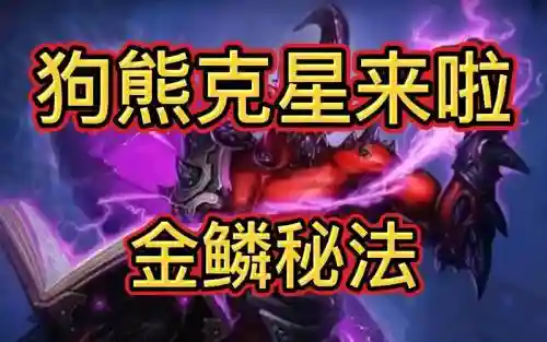 狗熊克制阵容_1