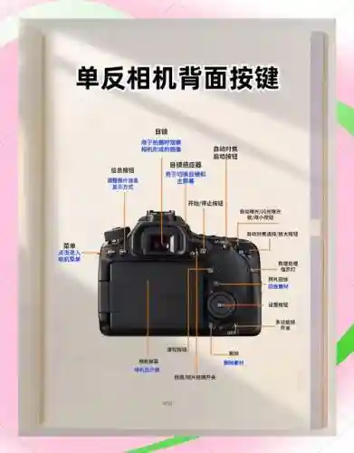 徕卡阵容搭配插图
