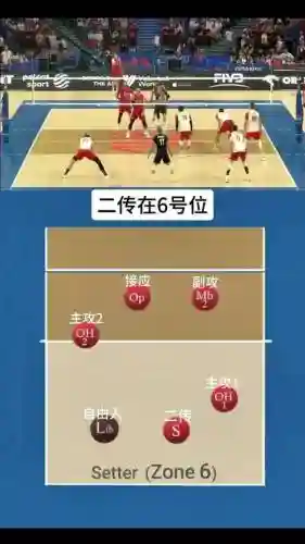 排球阵容教学插图1