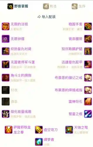 怀旧服猎人阵容搭配攻略插图