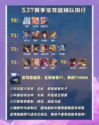 扁鹊阵容搭配选择插图1