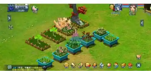 园艺植物图鉴梦幻西游2_1插图