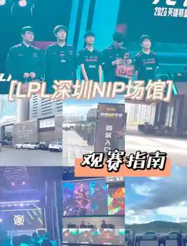 nivi现在阵容_1插图