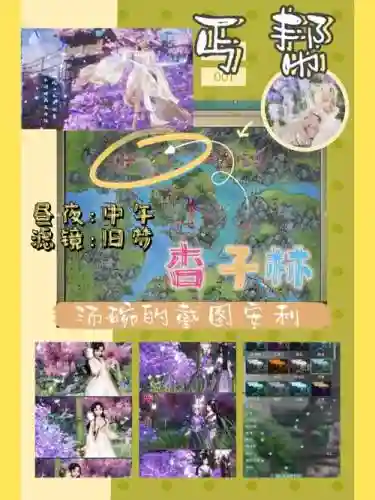 九阴真经丐帮杏子林攻略